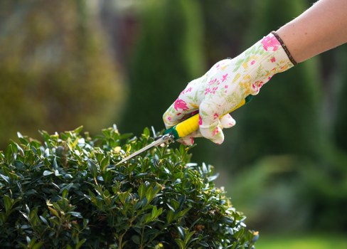 Landscaping in Bermondsey with a carefully designed urban garden