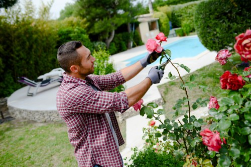 Landscaping team working safely during outdoor site preparation