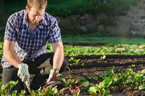 Landscaping Bermondsey commitment to ethical, fair, and transparent working practices