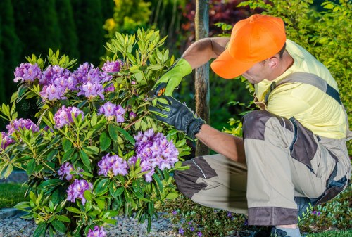 Manager training staff to spot signs of modern slavery in landscaping work
