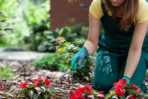 Contemporary garden design features suitable for Bermondsey homes and businesses