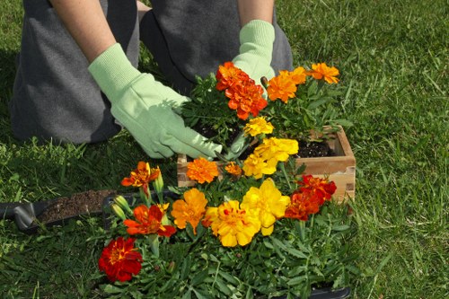 Screen-reader friendly Bermondsey landscaping website content structure.