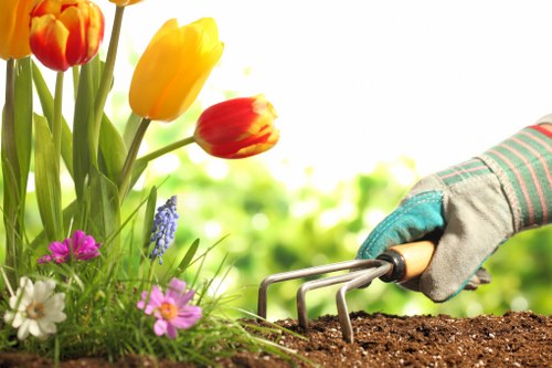 Professional about us landscaping Bermondsey design and structure