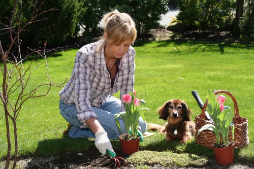 Supervising a landscaping task with safety checks in progress